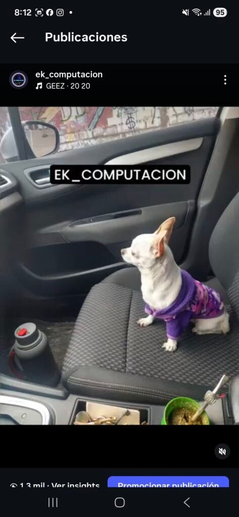 Tecnico informático