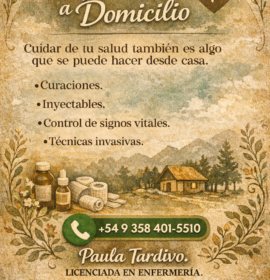 Enfermera a domicilio
