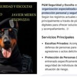 P Y M SEGURIDAD & y ESCOLTAS