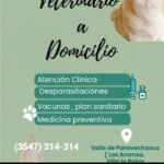Veterinario a domicilio
