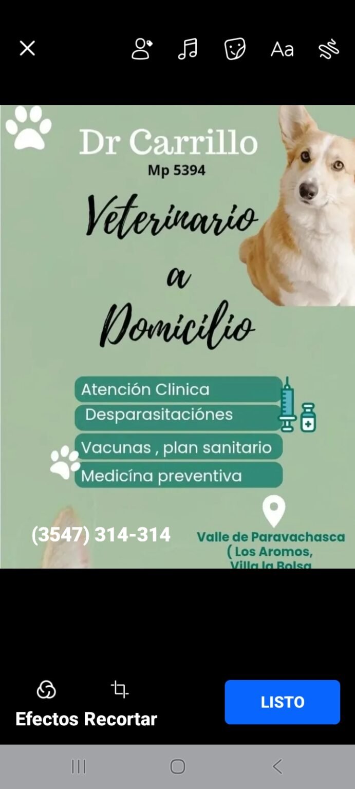 Veterinario a domicilio