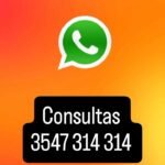 Veterinario a domicilio