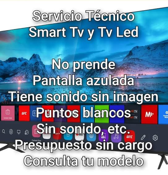 Servicio Técnico (reparaciones en