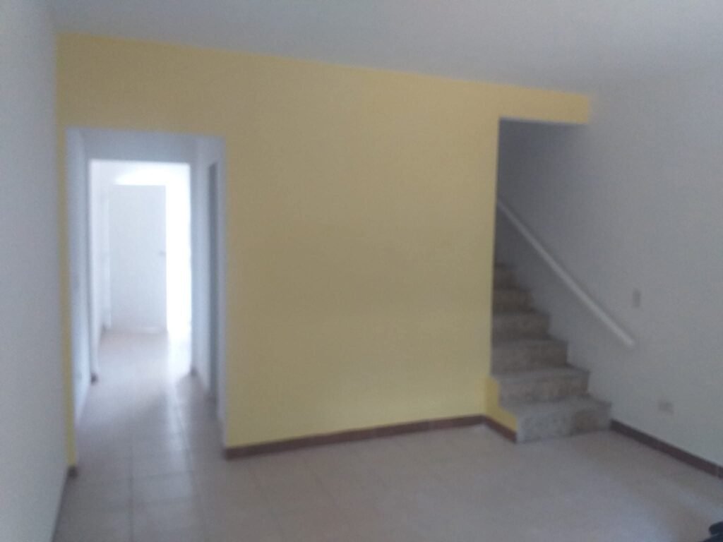 MALER PINTOR PROFECIONAL