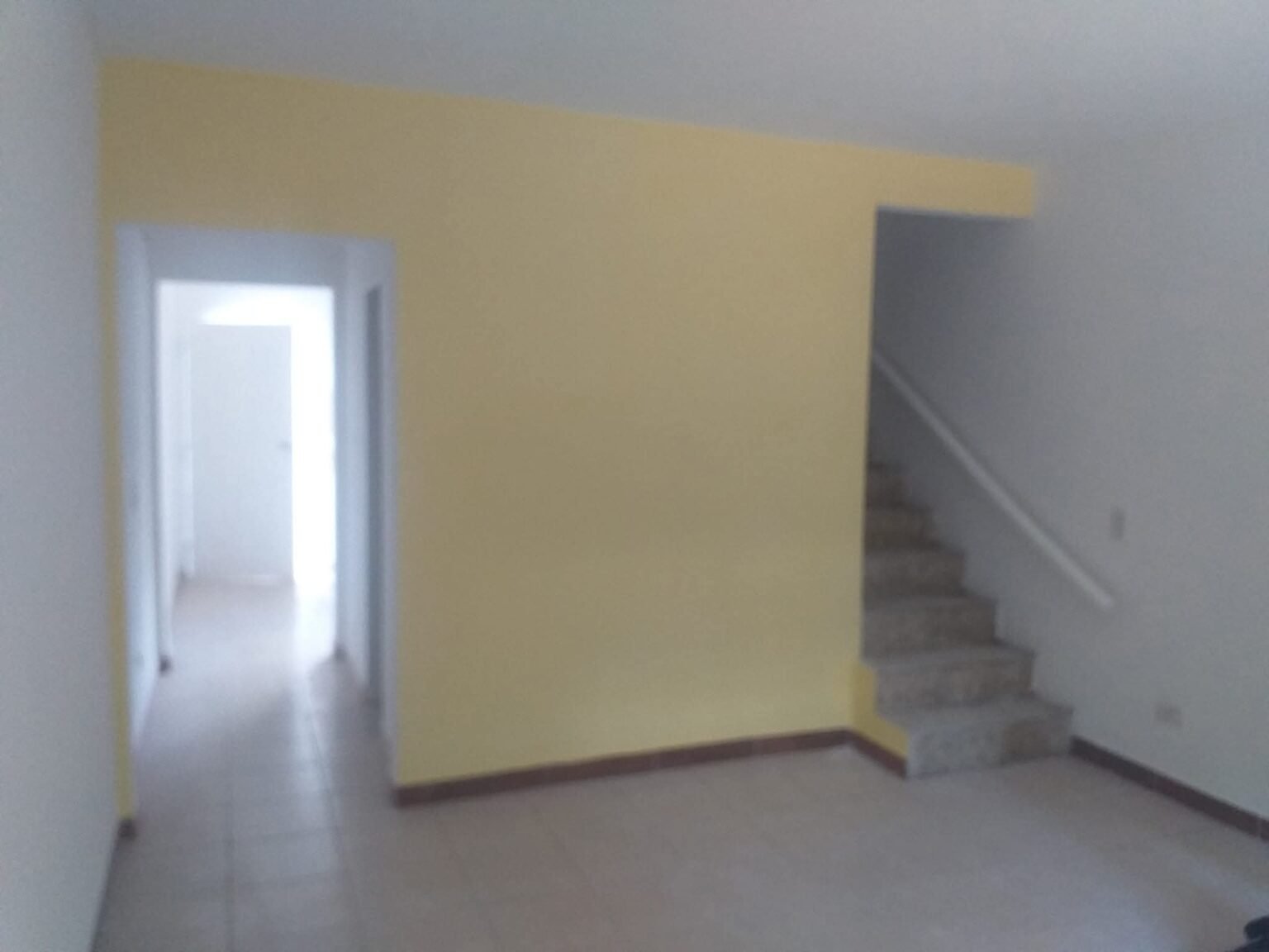 MALER PINTOR PROFECIONAL