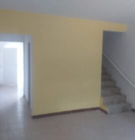 MALER PINTOR PROFECIONAL