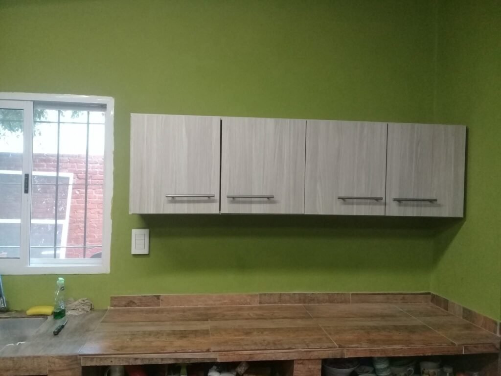 MALER PINTOR PROFECIONAL