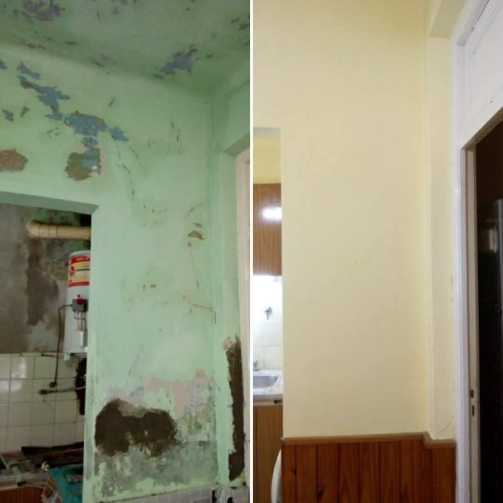 MALER PINTOR PROFECIONAL