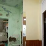 MALER PINTOR PROFECIONAL