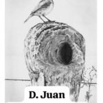 Técnico en construcción