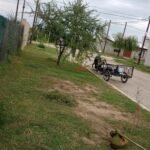 Santiago Avellaneda Jardineria