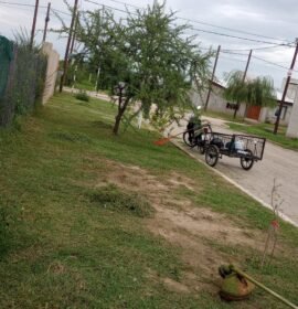 Santiago Avellaneda Jardineria