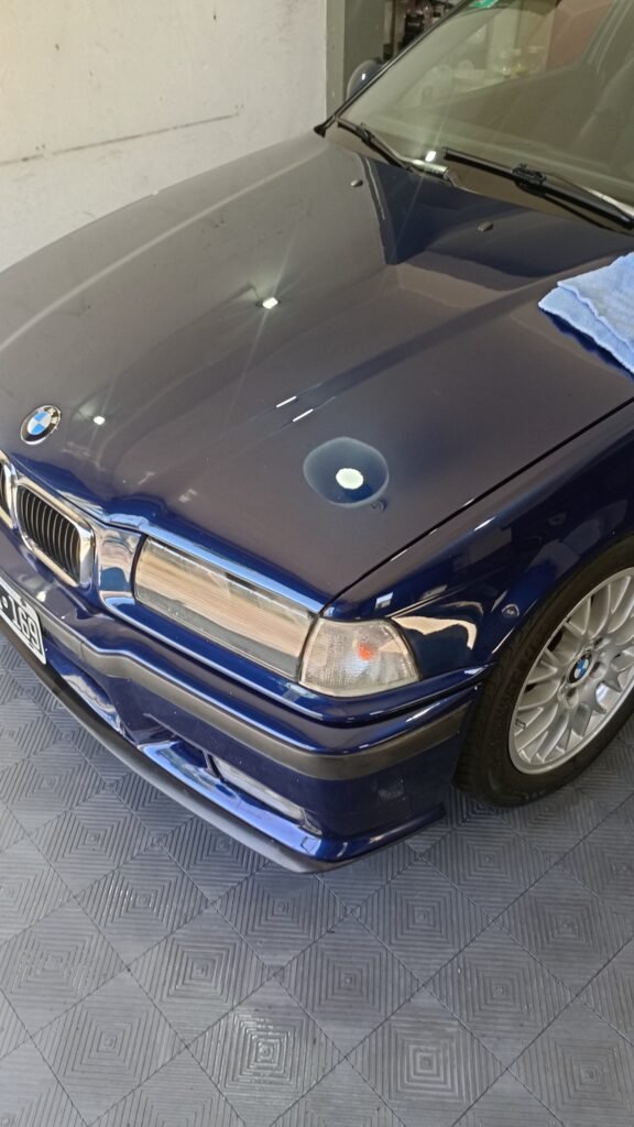 Big Shine detail