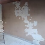 Pintor de casas. Látex y sintético.