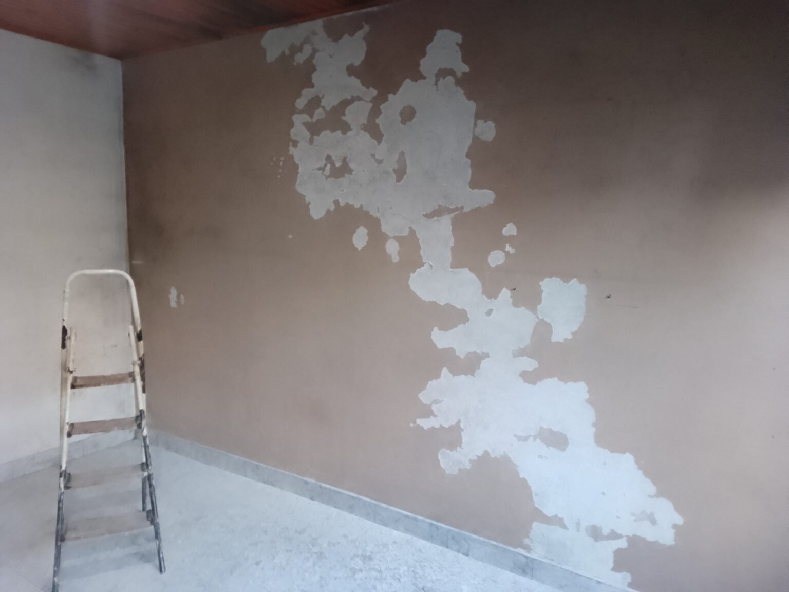 Pintor de casas. Látex y sintético.