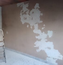 Pintor de casas. Látex y sintético.