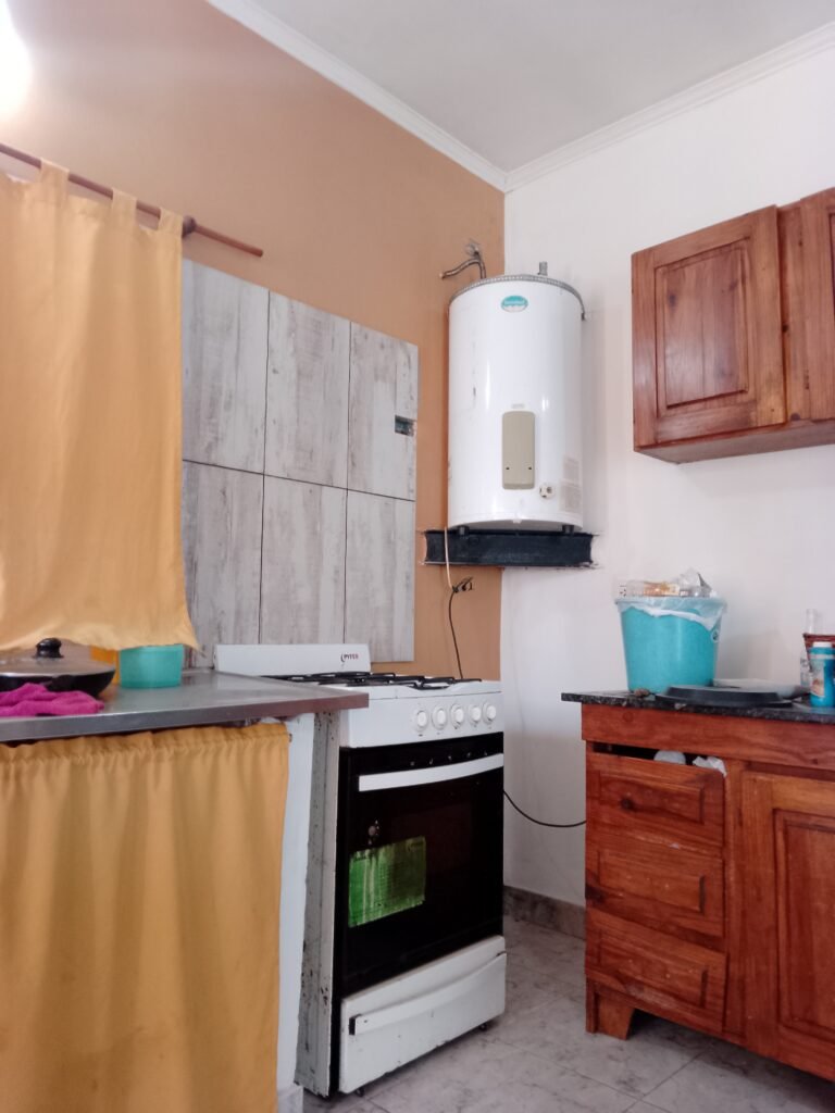 Pintor de casas. Látex y sintético.