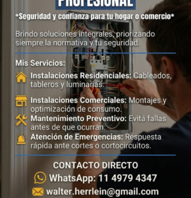 Walter Técnico Electricista