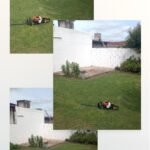 Santiago Avellaneda Jardineria