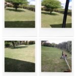 Santiago Avellaneda Jardineria