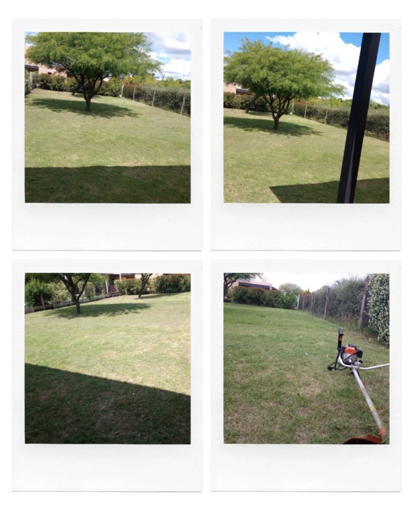 Santiago Avellaneda Jardineria