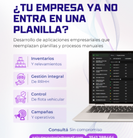 Consultor de sistemas