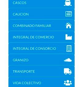 Asesor de Seguros y analista de Siniestros