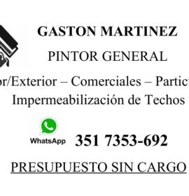 Pintor de casas, piscinas, comercios e impermebelización de techos