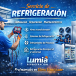 Lumia servicios