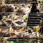 Lavado y limpieza de autos y casas a domicilio