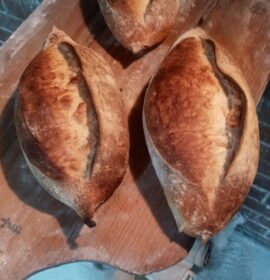 Asesor gastronómico