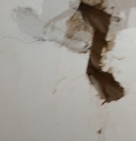 Mantenimiento de hogar plomería, albañilería ,pintura ,electricidad