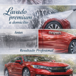Lavado y limpieza de autos y casas a domicilio