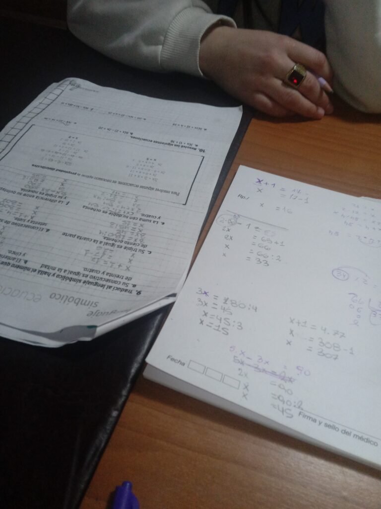 Acompañamiento escolar