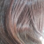 La Pelu de Sol La Pelu de Sol