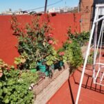 Plomería, pintura e impermeabilizaciones