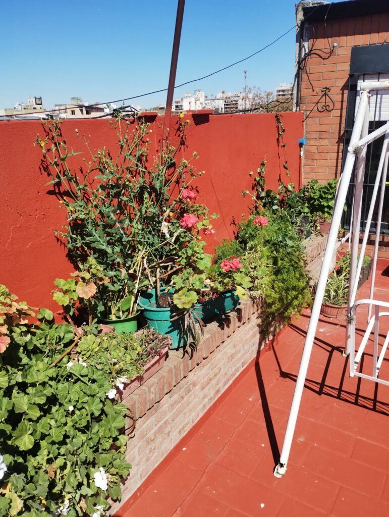 Plomería, pintura e impermeabiliz