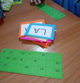 Acompañamiento escolar