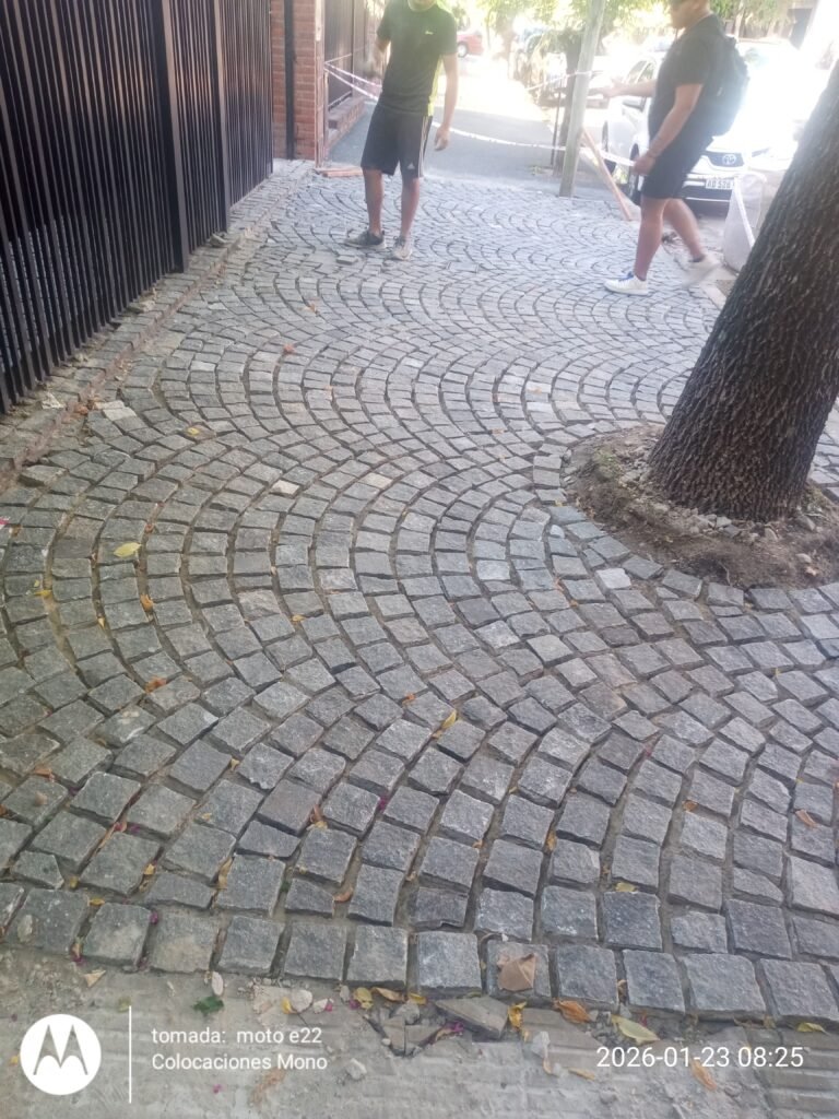 Colocaciónes mono (Adoquinero)