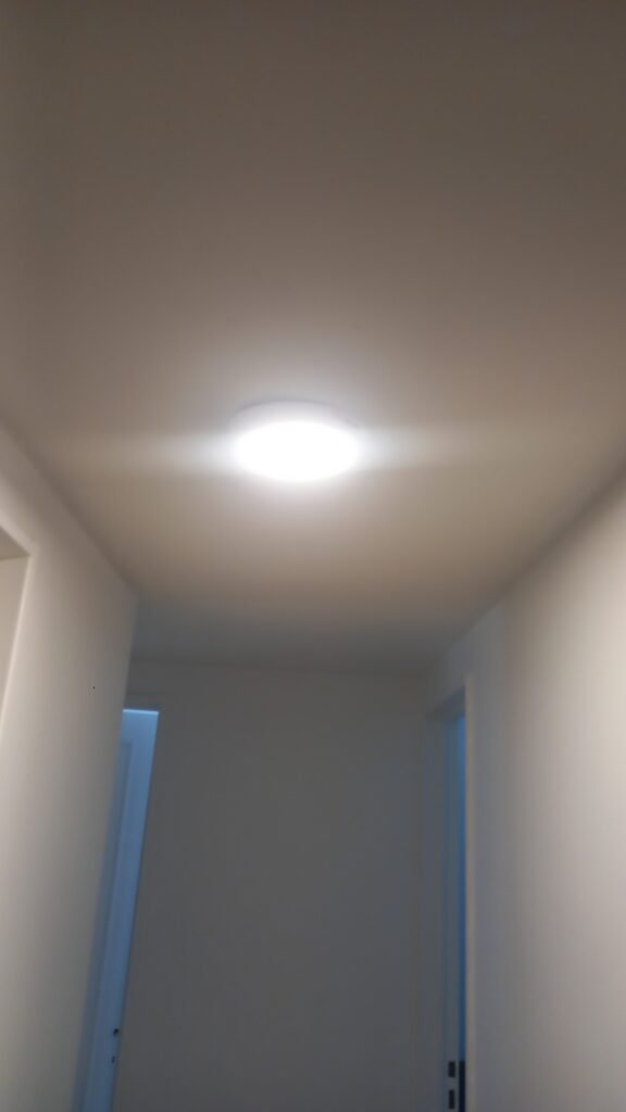 Albañilería y pintura