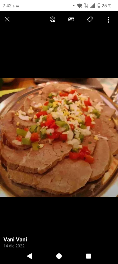 Cocinera para casa de familia y restaurantes y hoteles