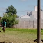 Servicio de mantenimiento y jardinería