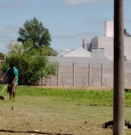 Servicio de mantenimiento y jardinería