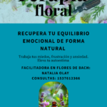 Terapia floral Terapia floral