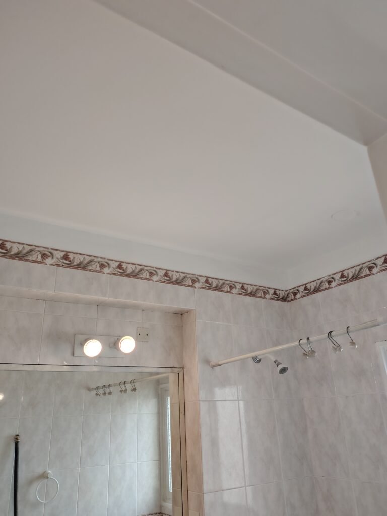 Pintor de obra