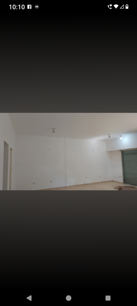 Revestimiento y pintura en genera