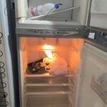 Servicio tecnico línea blanca