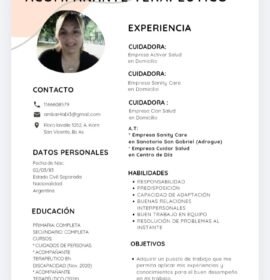 Acompañante terapéutico / cuidadora