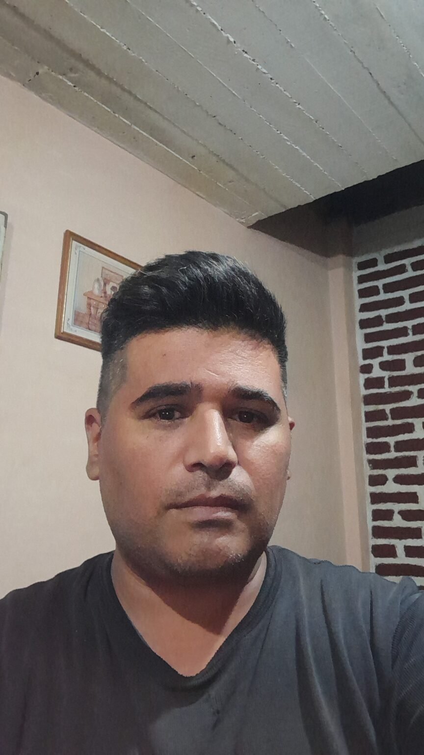 Peon de mudanza. Descarga de mate