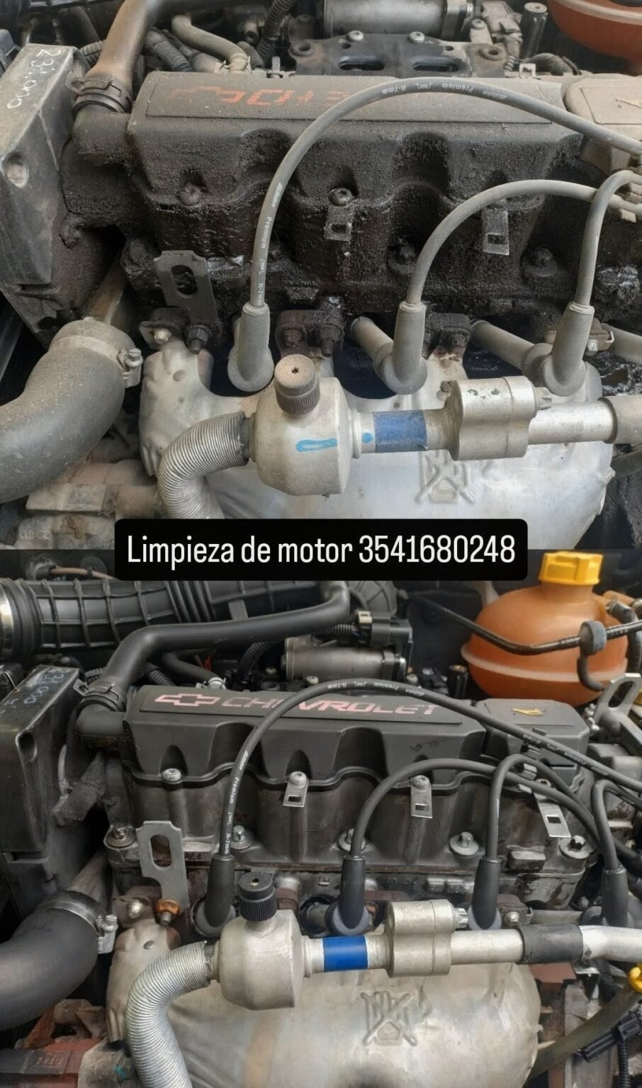 Limpieza a domicilio de colchones, sillones, alfombras, interior/exterior de autos, limpieza de motores y pulidos de ópticas